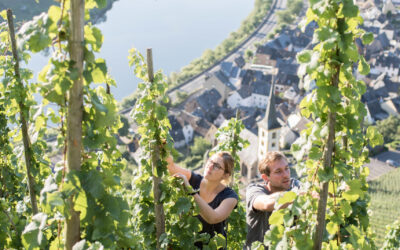 Smarter Weinberg – Projekt startet an der Universität in Koblenz